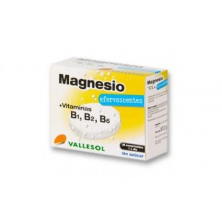 Comprar vallesol magnesio b efervescente 24comp.