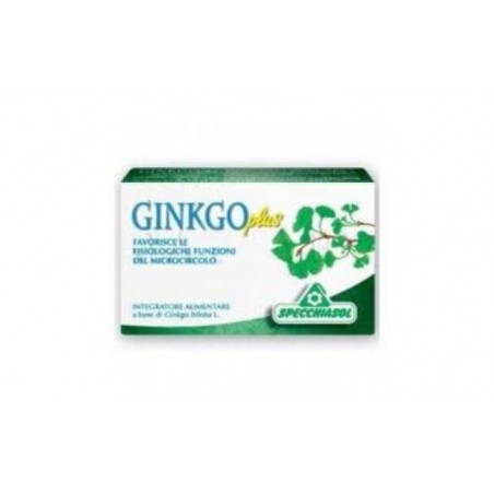 Comprar ginkgo plus 30comp.