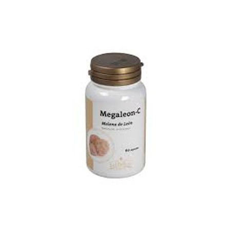 Comprar Jellybell Megaleon C (Melena De Leon), 60 cápsulas