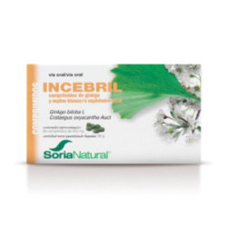 Incebril Ginkgo/Espino...