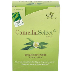 CamelliaSelect, 60...