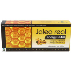 Tegor Energy 2000 Jalea...