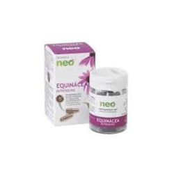 Neo Echinacea...