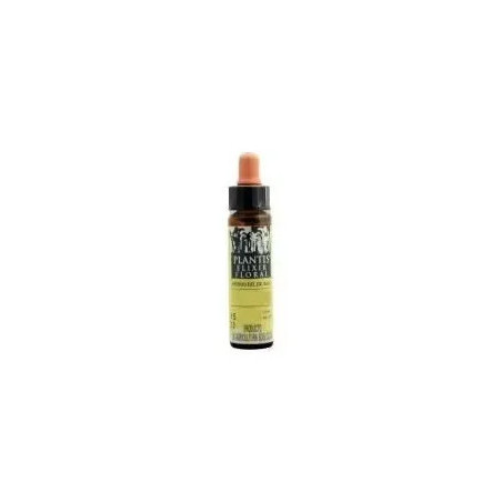 Comprar Plantis Acebo Nº 15 Elixir Floral Eco de Dr. Bach, 10 ml