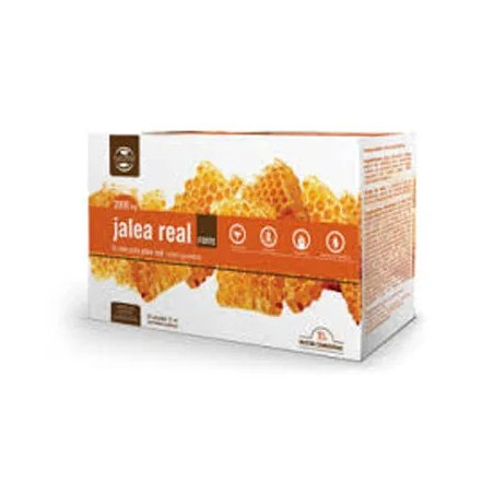 Comprar Naturmil Jalea Real Forte, 20 ampollas de 2000 mg
