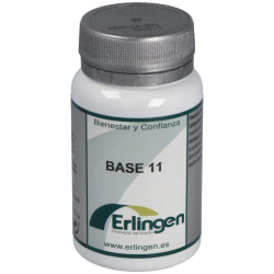 Erlingen Base 11, 60...