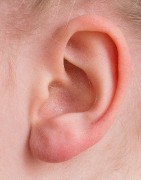 Cuidado oídos